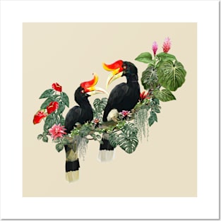 Tropical Rain forest and hornbill bird art. Posters and Art